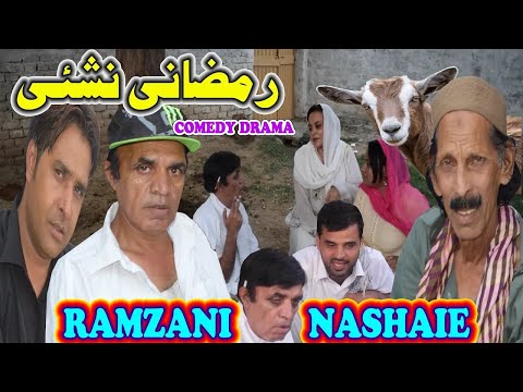 Charsi te Qurbani na Bakra - New Pothwari Drama - Hameed Babar - Ramzani Nashaie- Full Comedy Skit