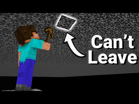 Can You Beat Minecraft From The Void?