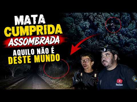 O QUE A CÂMERA CAPTOU NA MATA VAI TE DEIXAR SEM DORMIR! MATA CUMPRIDA ASSOMBRADA