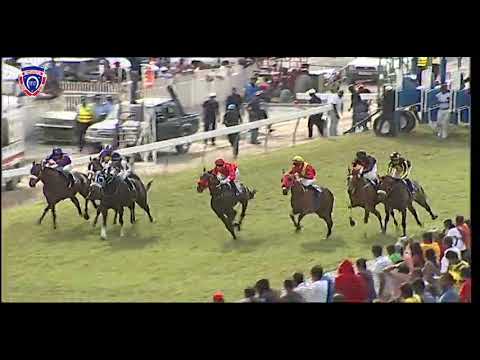 RM28 R5 | Virtue | C.Segeon