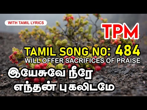 TPM TAMIL SONG 484 | இயேசுவே நீரே எந்தன்‌ புகலிடமே