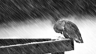 Direct (DI-RECT)- Inside my head