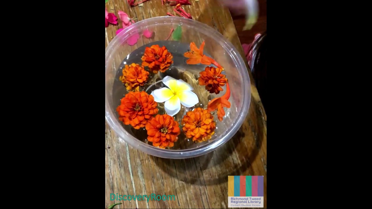 Land Art project with Jane from Richmond Tweed Regional Library