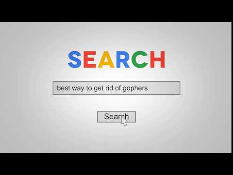 The Gopher Guy Search