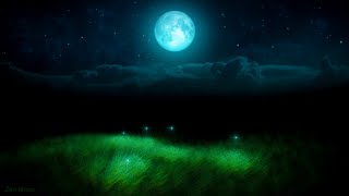 ♫ BEST SILENT NIGHT FIREFLIES SLEEP MUSIC FOR BABIES: Get Baby to Sleep Song, Moon Lullaby for Kids