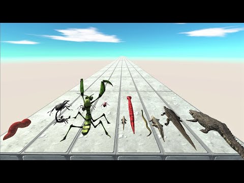Invertebrates vs. Reptiles speed race. Flat long straight course! | Animal Revolt Battle Simulator