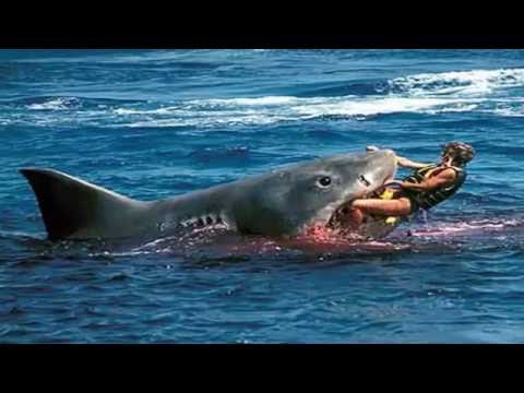 The Most Dangerous Beaches In The World