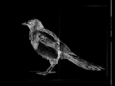 Под ракитою зеленой - Black Raven (Russian Folk)