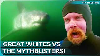 Taking on Super-Sized Sharks | Mythbusters
