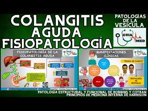 COLANGITIS FISIOPATOLOGÍA | GuiaMed