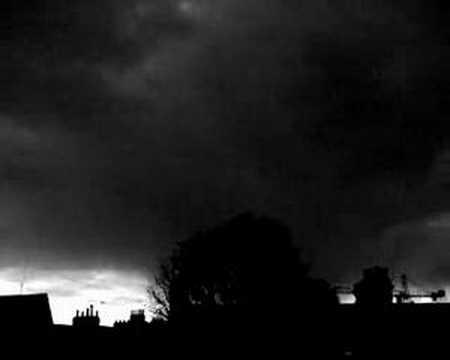 Modern mass extinction