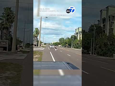 Dashcam captures man rescuing 2 toddlers wandering into the middle of busy road