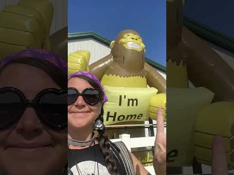 Creep It Real and their Bigfoot Festival Fun