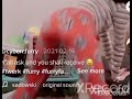 Furry Twerk