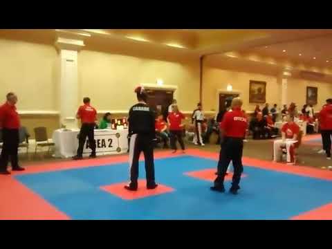 Gold medal round - Vanessa Drouin (Canada) v.s England at 2016 WKC world championship