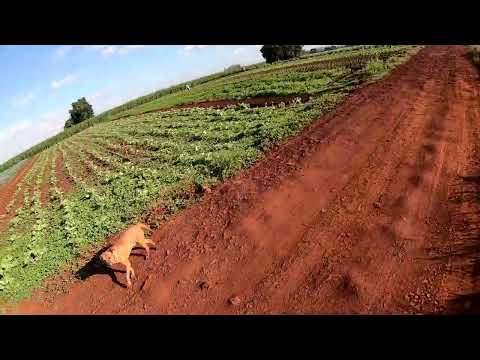 Lost Identities x Robbie Rosen - Moments