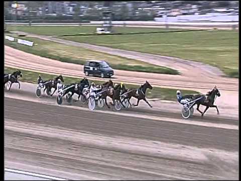 Trotto 26/04/2015 - 2° corsa