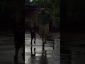 Love memories like this! #puddle #jump