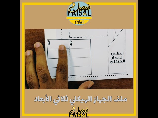 ملف الجهاز الهيكلي - ثلاثي الابعاد