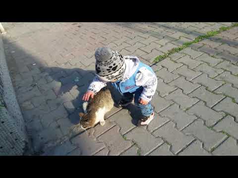 Eymen asaf bu nasıl bir sevgidir kedicikle 🐈🐈