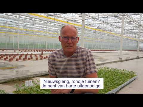Pieter van der Lugt, MovetoCatch zoekt een teeltspecialist jonge Groenteplanten voor P. van Geest