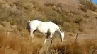 Cowboys are My Weakness by Trisha Yearwood