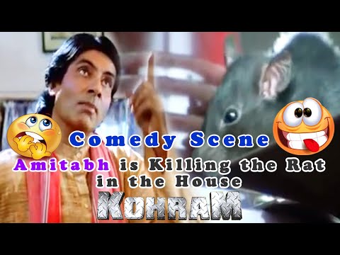 Amitabh is Killing the Rat in the House Comedy Scene | Kohram Movie