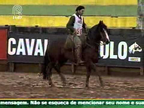 03/07/2011 - Classificatória Freio de Ouro de Pato Branco (PR) na Bayard-Sarmento