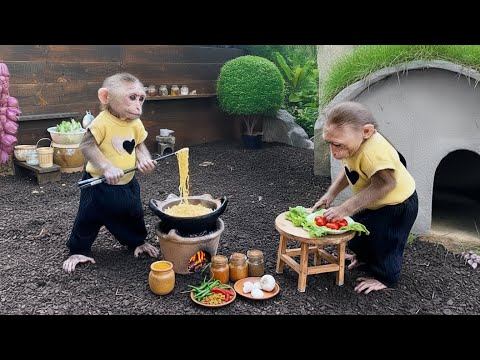 That's great! Smart monkey Annie harvested lettuce at the farm to make vegetable stir-fry noodles