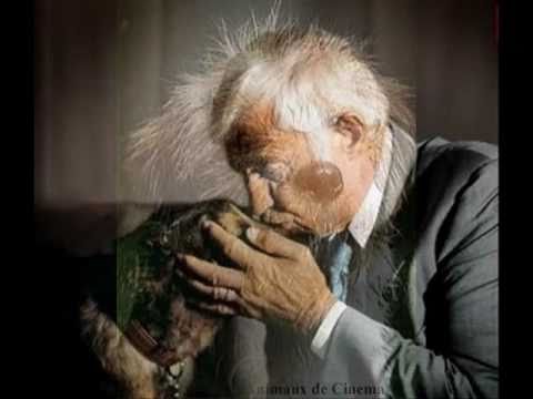 Philippe Rombi - UN HOMME ET SON CHIEN (2008) - Soundtrack Suite