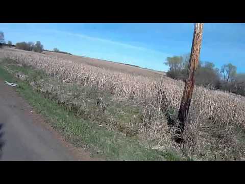 Close Call on Co. J and Holly, Reckless Driver