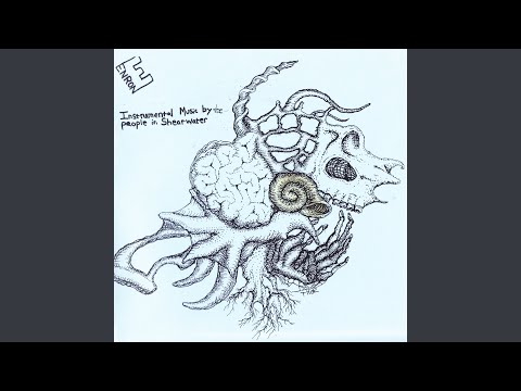 Video thumbnail for Shearwater is Enron (2)