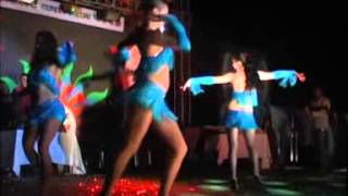 preview picture of video 'Belly Dance in Manpat Carnival 2013'