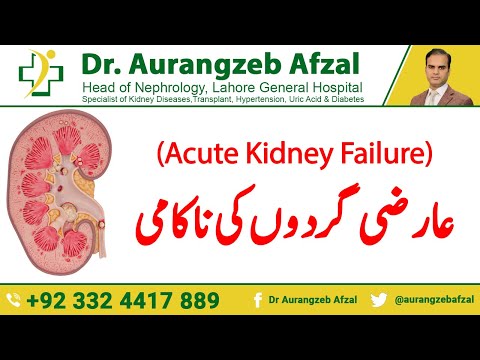 Temporary Kidney Failure - Acute Kidney Failure in Urdu/Hindi