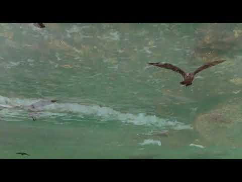 Spax X Brisk Fingaz - Eremit