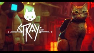 【怖い！可愛い？どっちかわからん Stray初見実況プレイ#1】