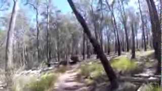 preview picture of video 'Chandler View Circuit Bush Trail - Near Hillgrove & Armidale'