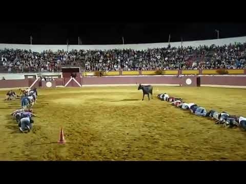 Men Participate in Crawling Race Across Bullfighting Arena