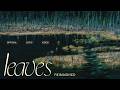 Ben&Ben - Leaves (Reimagined)