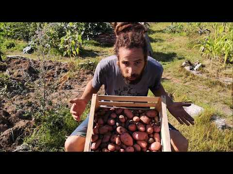 Permakultur-Reise 2019: Beständigkeit im 2. Gartenjahr (101-110)