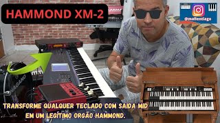 Video thumbnail for HAMMOND XM-2 (O MODULO DO ORGÃO HAMMOND FIEL AO ORIGINAL) FACTORY SOUNDS by TIAGO MALLEN #hammond by Tiago Mallen