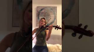 Zayn ft. Sia Dusk Till Dawn Violin Cover Sophie Christensen
