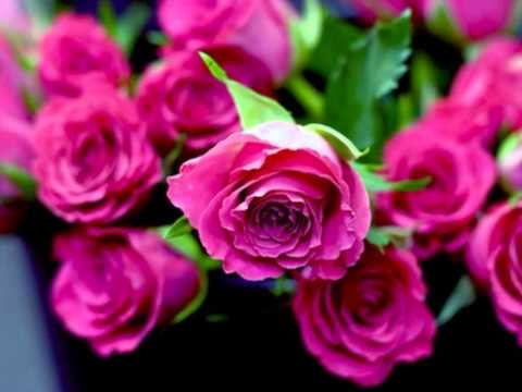 Mere Ghulam Tera [Full Song] (HD) - Laadla