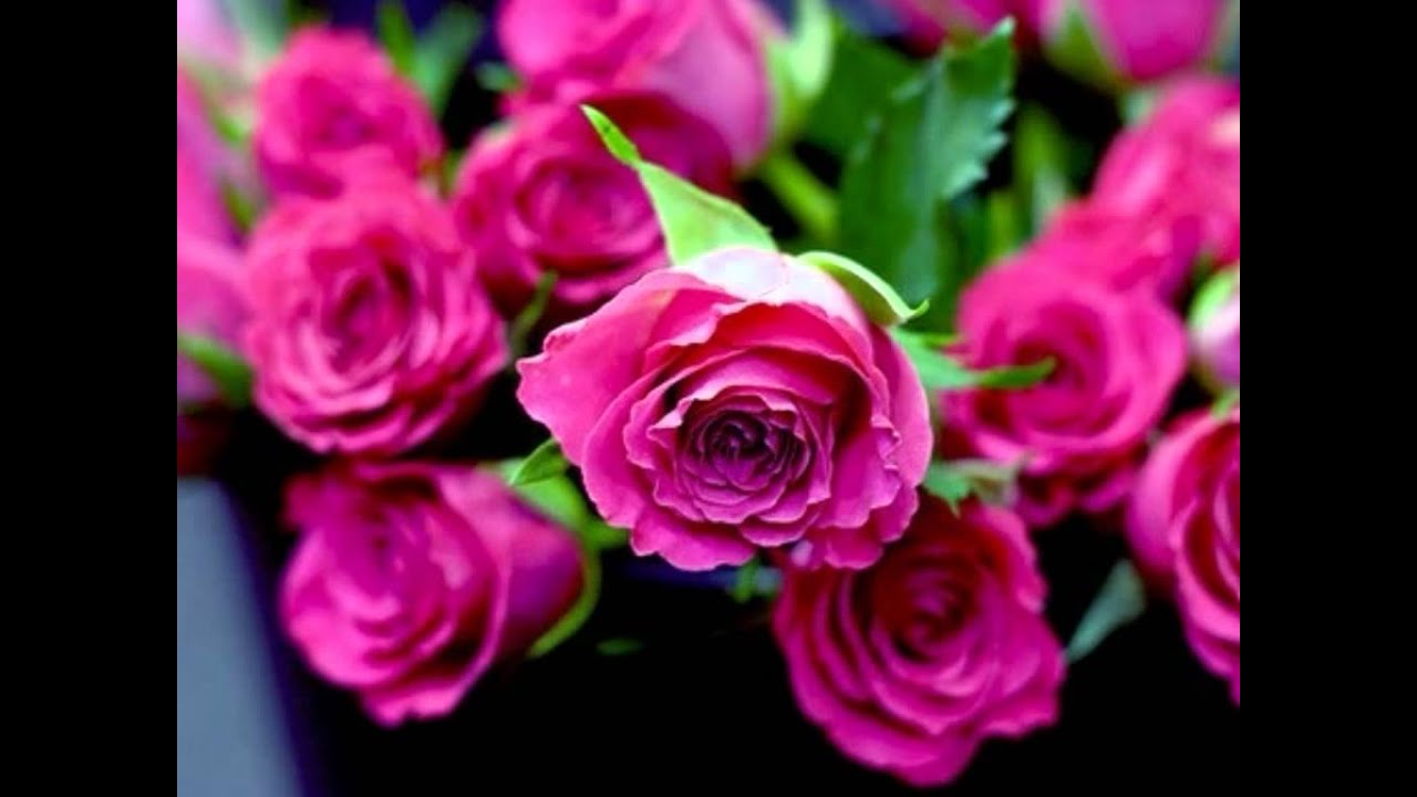 Mere Ghulam Tera Katleaam Lyrics  | Laadla | Anil Kapoor, Sridevi | Alka Yagnik | Anand Shrivastav, Milind Shrivastav