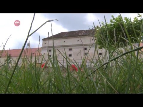 Schloss Neugebäude in Wien Simmering