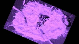 Lil Wayne-Act A Ass(C&amp;S)