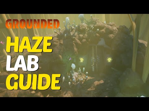 Full Haze Lab Walkthrough in Grounded 2025