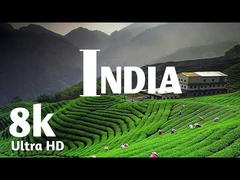 India in 8k ULTRA HD HDR - Will be King of Asia (60 FPS)