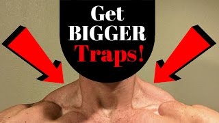 How To Get Bigger Traps (One Exercise) | V SHRED
