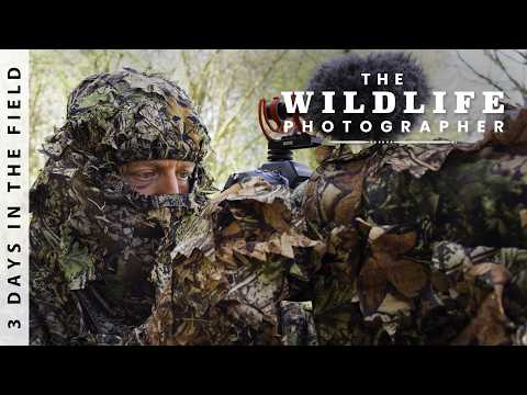 An Unforgettable Moment | 3 Days Wildlife Photography & Wild Camping